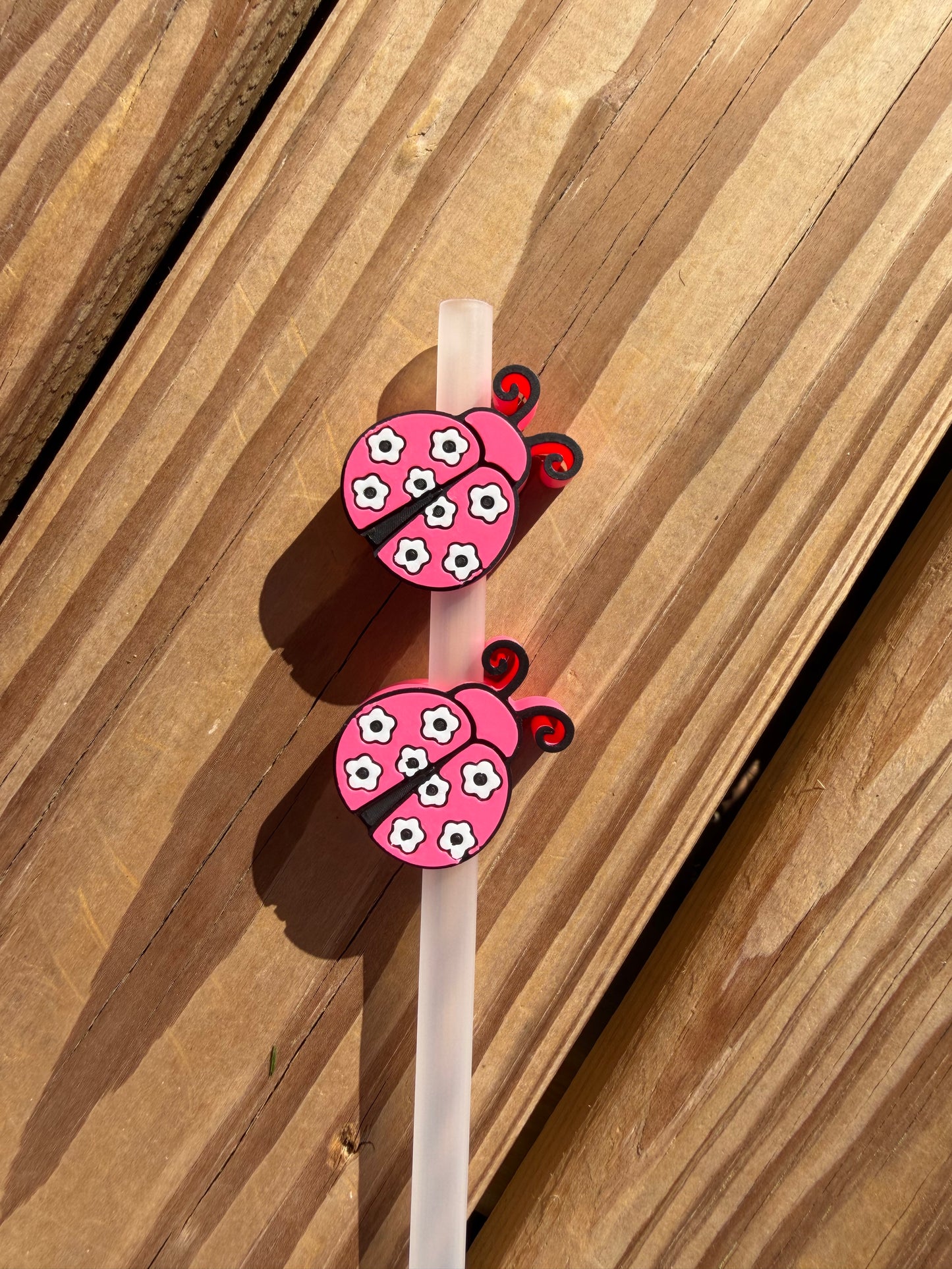 Lady Bug w/Daisy Wings - 3d Straw Topper