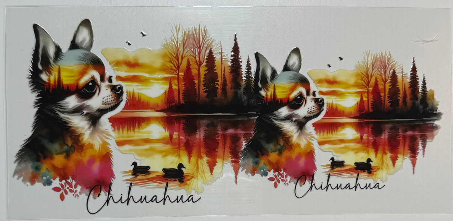 Dog (Chihuahua) - Wrap