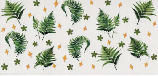 Ferns - Wrap