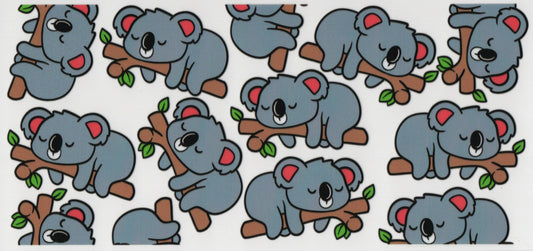 Koala Bear - Wrap
