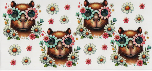 capybara w/Daisy Sunglasses - Wrap