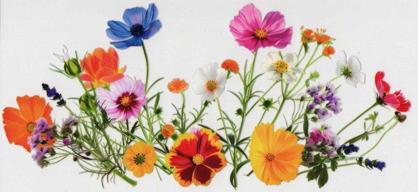 Wildflowers - Wrap