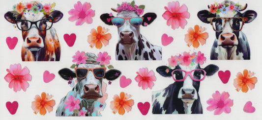 Funny Cows - Wrap