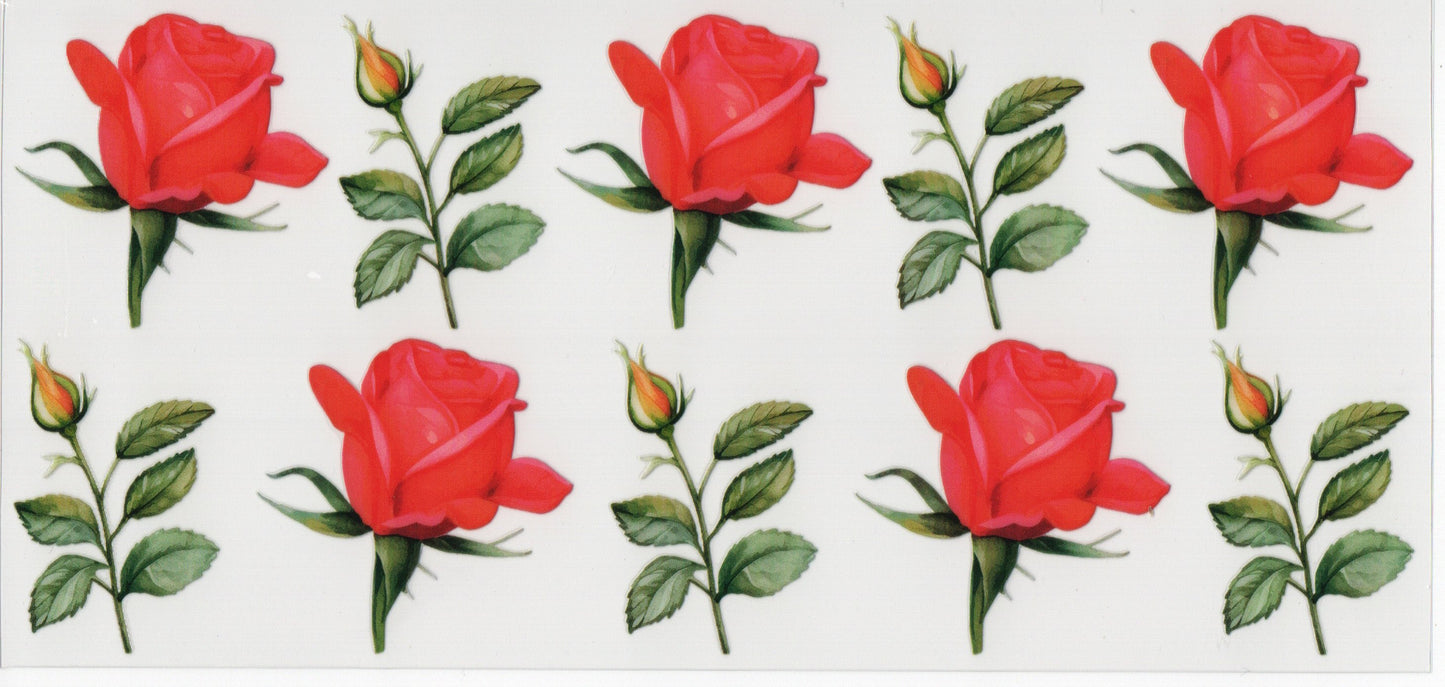 Red Roses - Wrap