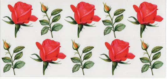 Red Roses - Wrap