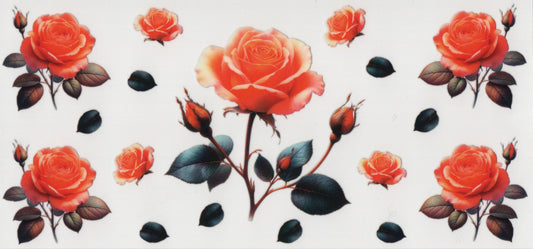 Peach Roses - Wrap