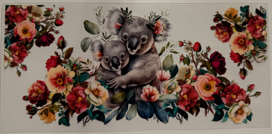 Koala Bears - Wrap