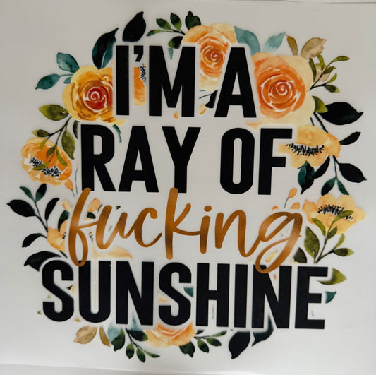 Ray of F'n Sunshine - DTF