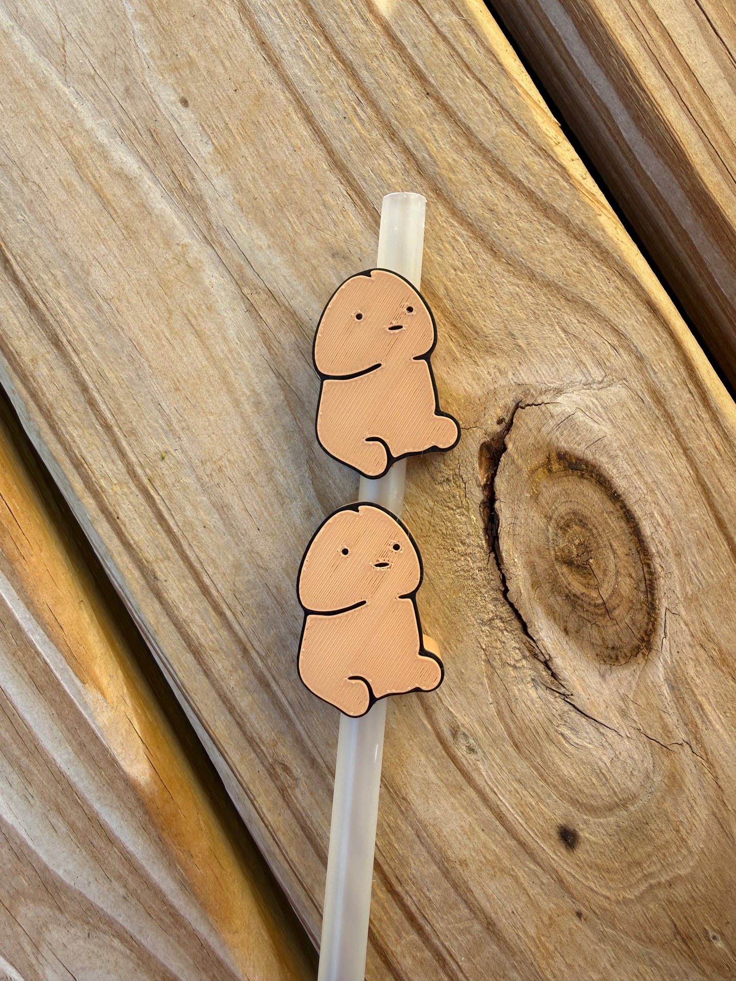 Richard - 3d Straw Topper