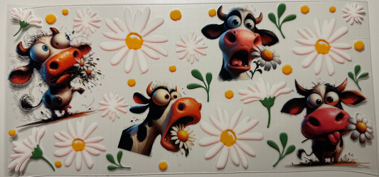 Cow w/Funny Faces - Wrap