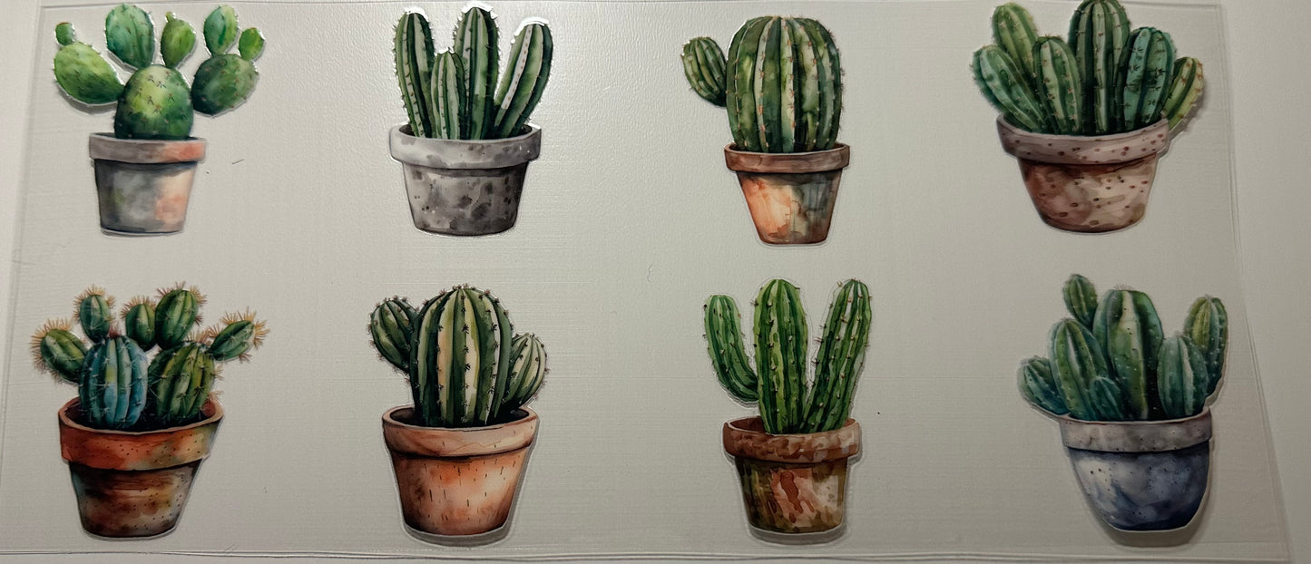 Plant (Cacti in Pots) - Wrap