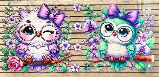Cutie Owl - Wrap